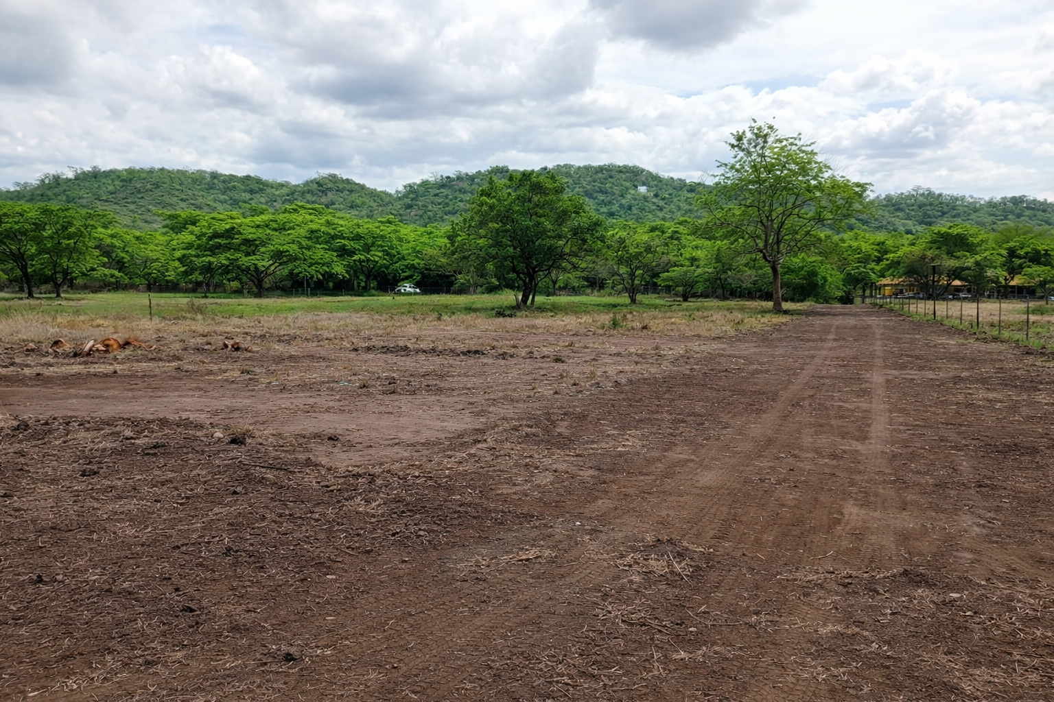 Vista del proyecto